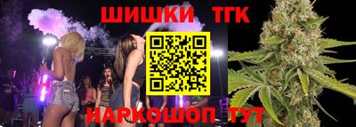 сатива Будённовск